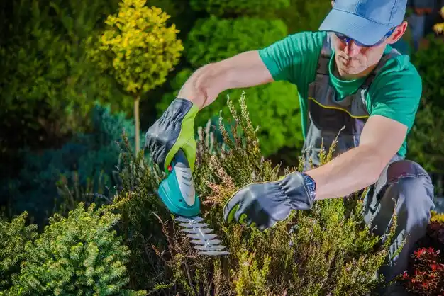 landscaping services Walton Hills